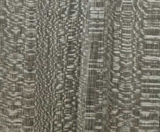 妙奇：法國尼斯